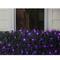 4ft. x 6ft. LED Wide Angle Net Style Christmas Lights